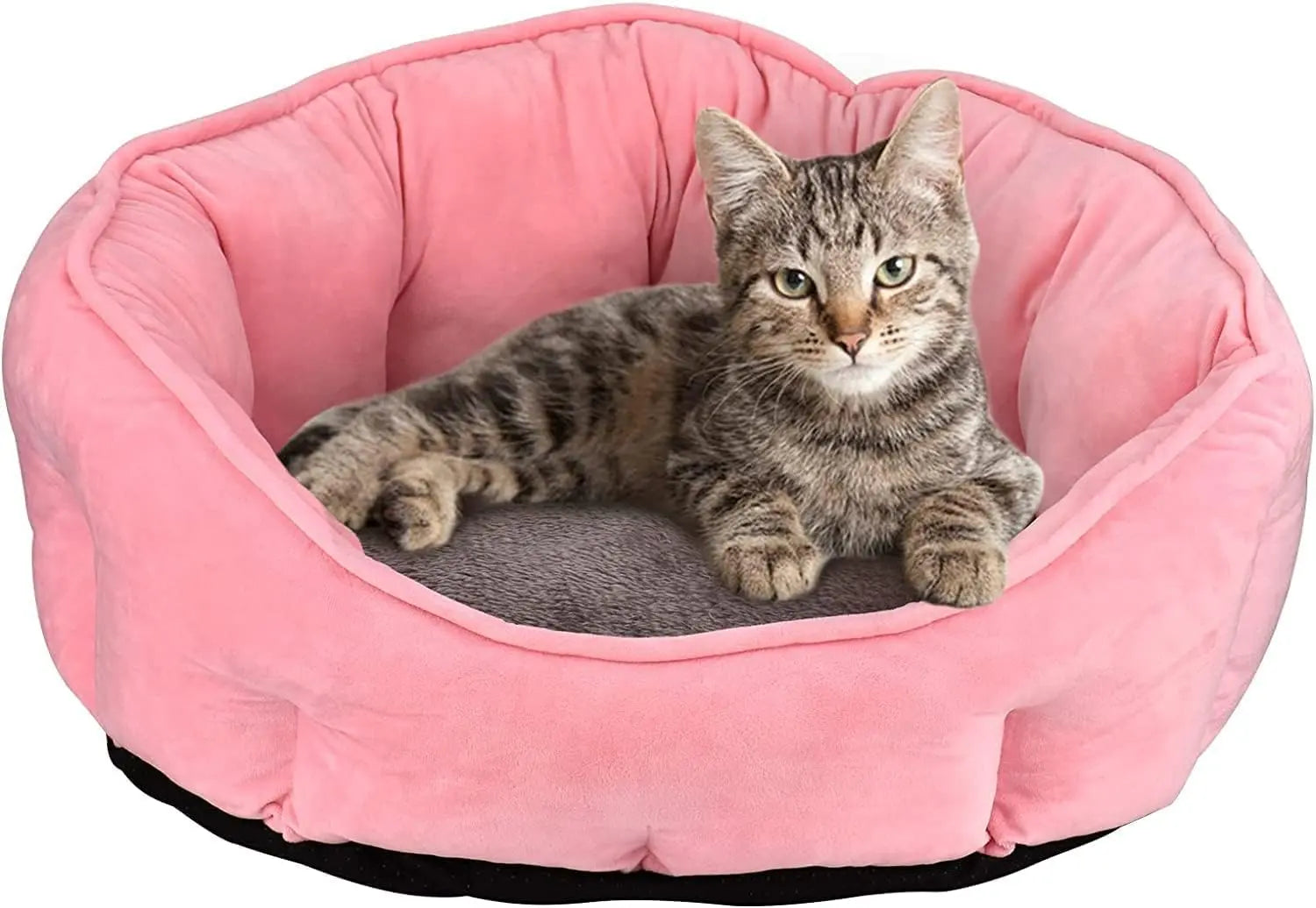 washable pet sofa bed
