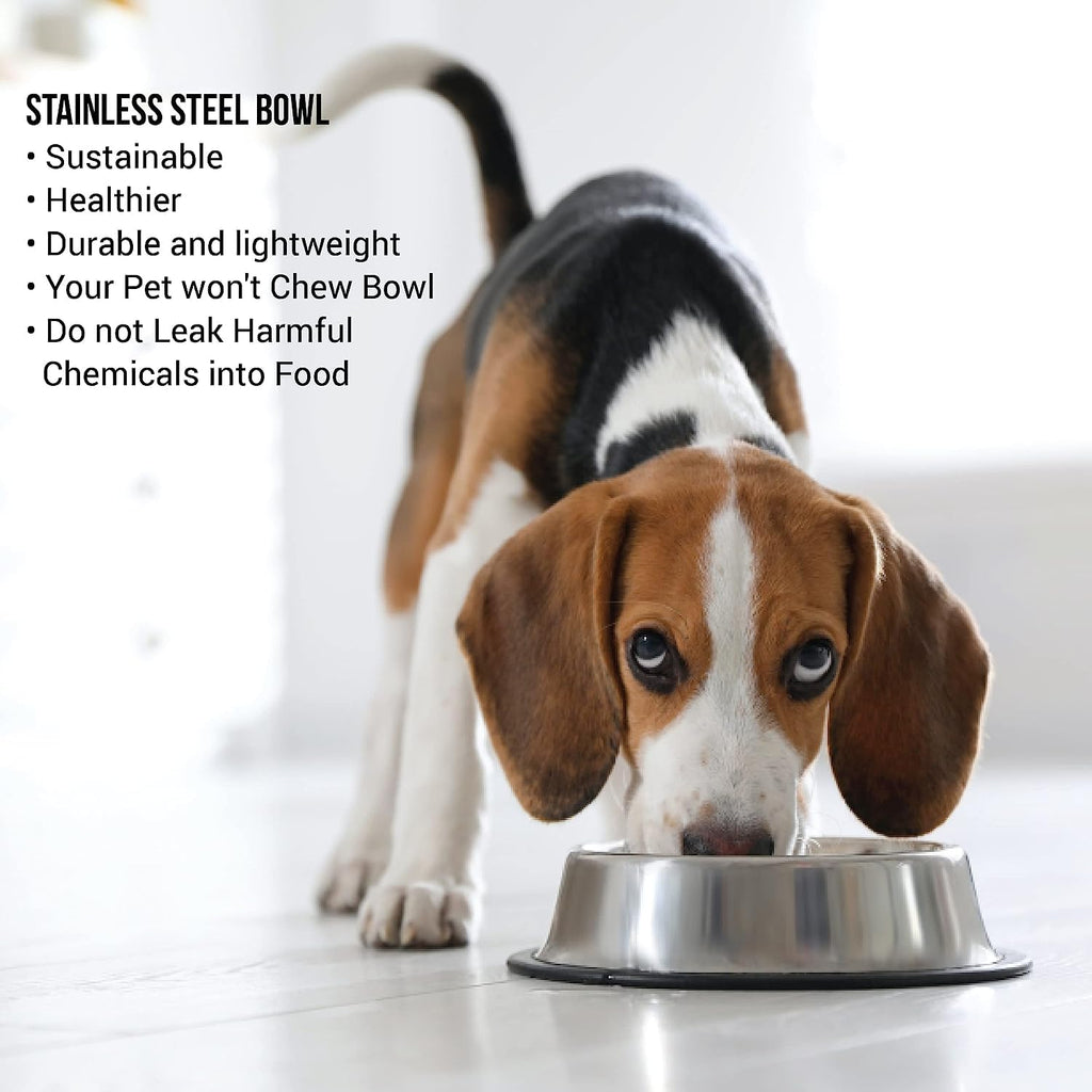 Stainless Steel Dog & Cat Food Bowl Set (2 x 700ml) My Store 10