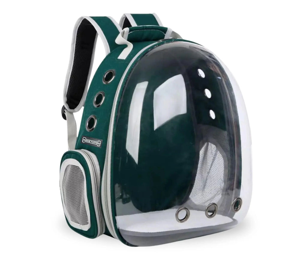 transparent pet carrier backpack