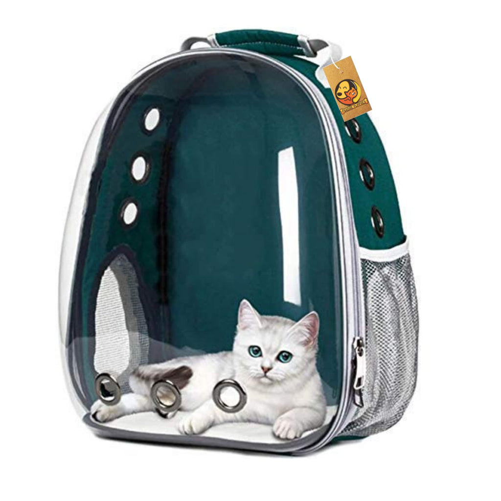 transparent pet carrier backpack